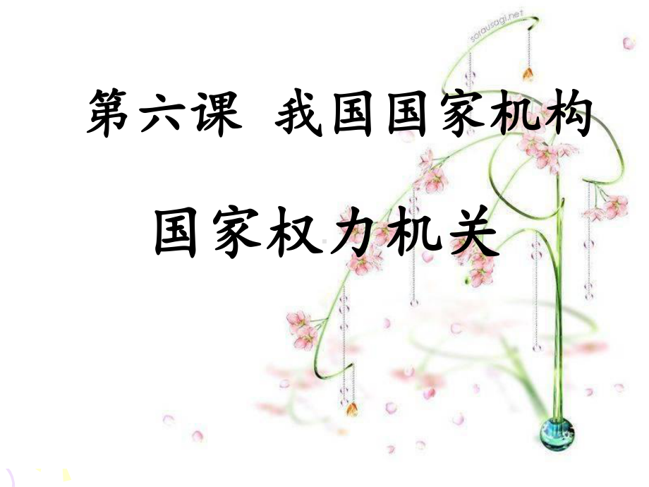 人教版道德与法治八年级下册6.1国家权力机关课件-(共16页).ppt_第3页