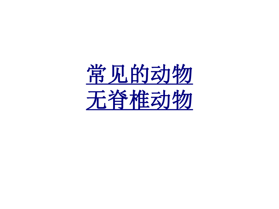 常见的动物无脊椎动物优质PPT课件.ppt_第1页