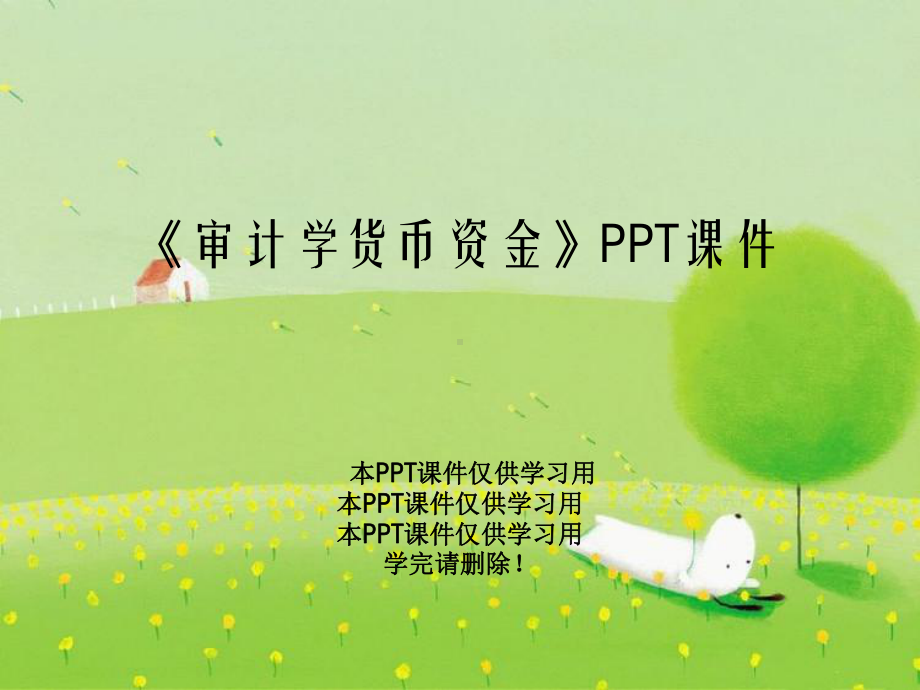 《审计学货币资金》PPT课件.ppt_第1页