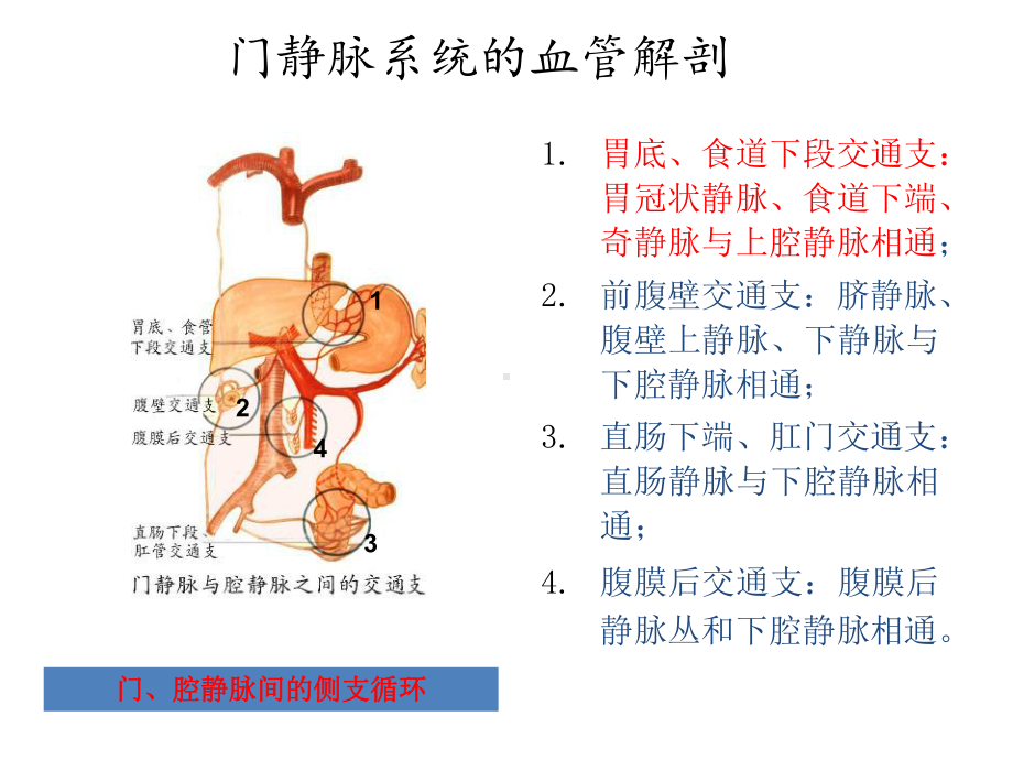 医学交流课件：门脉高压TIPS术中侧枝静脉栓塞.pptx_第2页