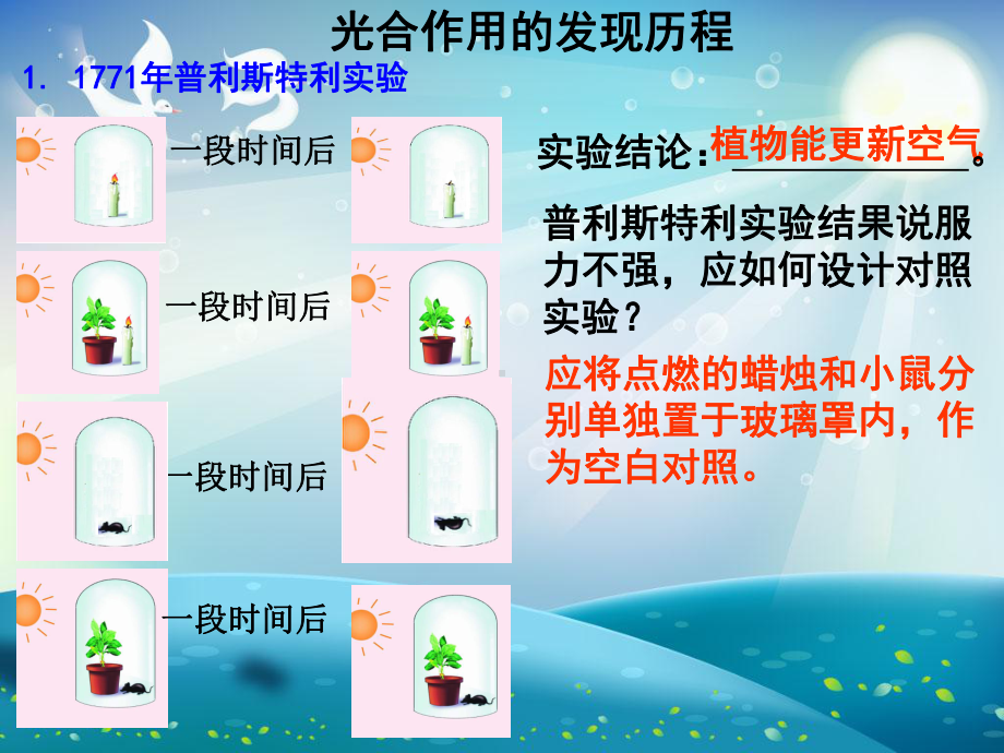 光合作用的原理和应用课件.ppt_第2页