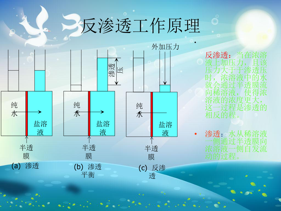 反渗透的原理及其应用课件.ppt_第1页