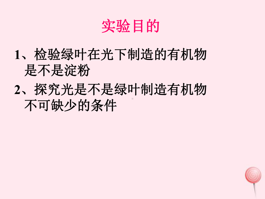 七年级生物上册第三单元第四章绿色植物是生物圈中有机物的制造者课件(新版)新人教版.ppt_第3页