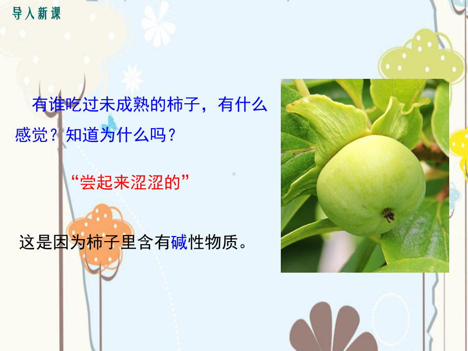 化学几种常见的碱碱的化学性质课件《人教版》九年级下学期.pptx_第2页