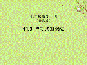 七年级数学下册11.3单项式的乘法课件(新版)青岛版.ppt