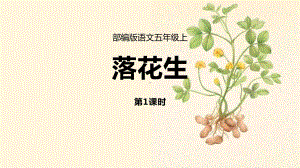 《落花生》PPT课件(第1课时).pptx