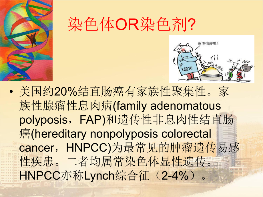 医学Lynch综合征解读ppt培训课件.ppt_第2页