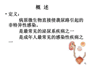 尿路感染PPT课件.ppt