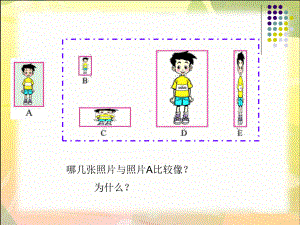 《生活中的比》一等奖-完整版PPT课件.ppt