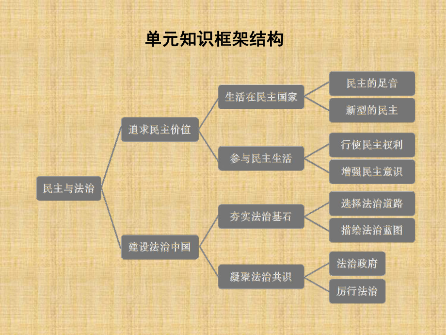 人教部编版九年级政治上册课件：3.1生活在民主国家-(共59页).ppt_第3页