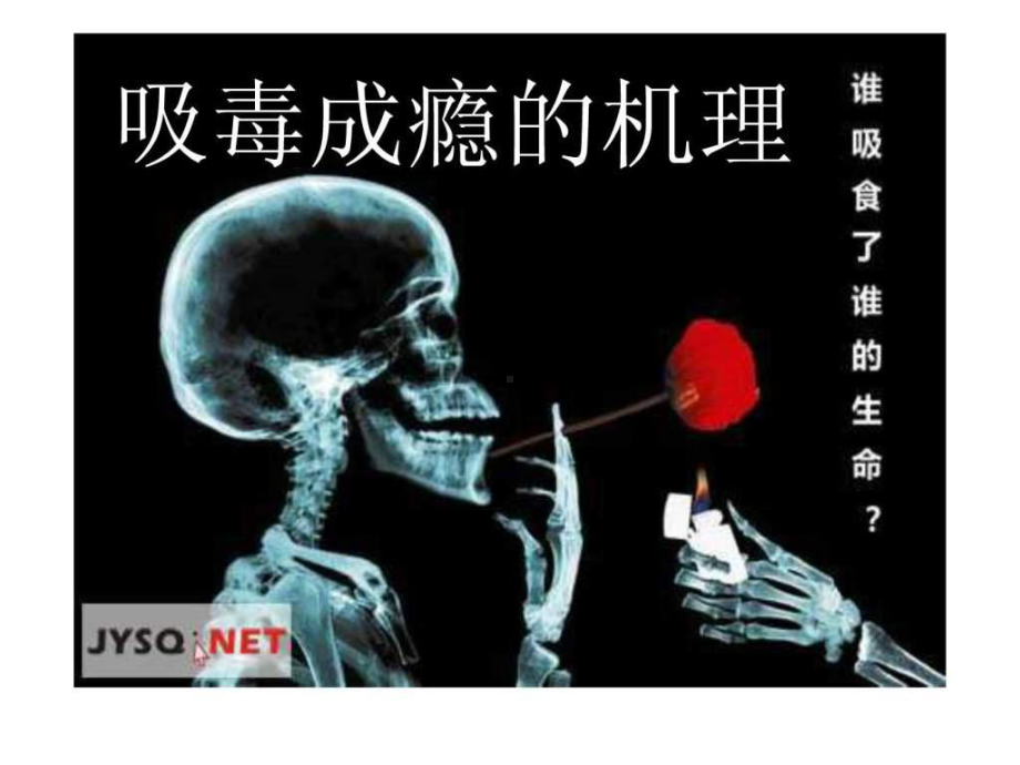 《吸毒成瘾的机理》PPT课件.ppt_第2页