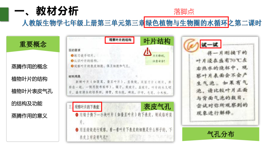 《植物的蒸腾作用》说课课件(全国获奖实验说课案例).pptx_第3页