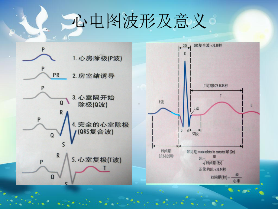 常见心律失常的识别与处理课件.ppt_第3页