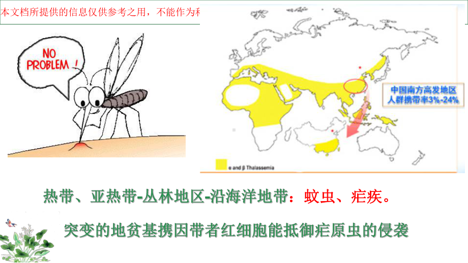 地中海贫血筛查及基因示意图培训课件.ppt_第2页