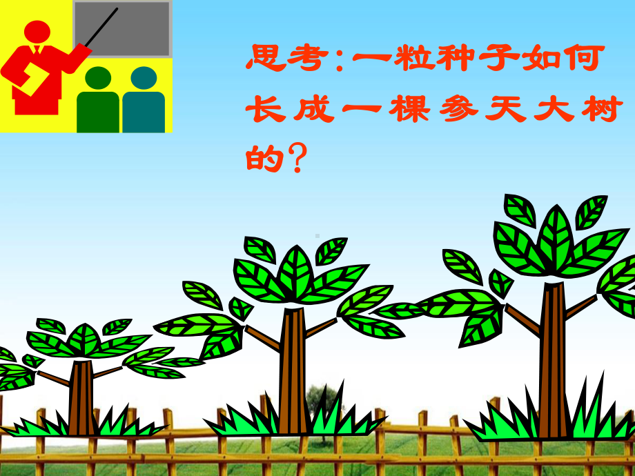 光合作用-完整版PPT课件.ppt_第1页