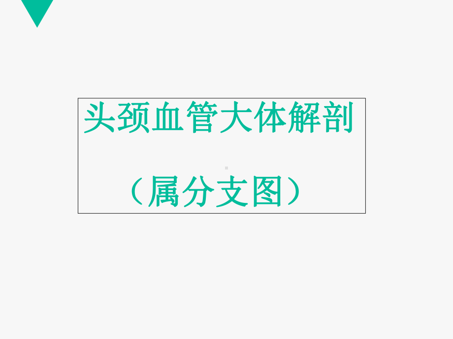 医学CTA头颈血管解剖分段ppt培训课件.ppt_第2页