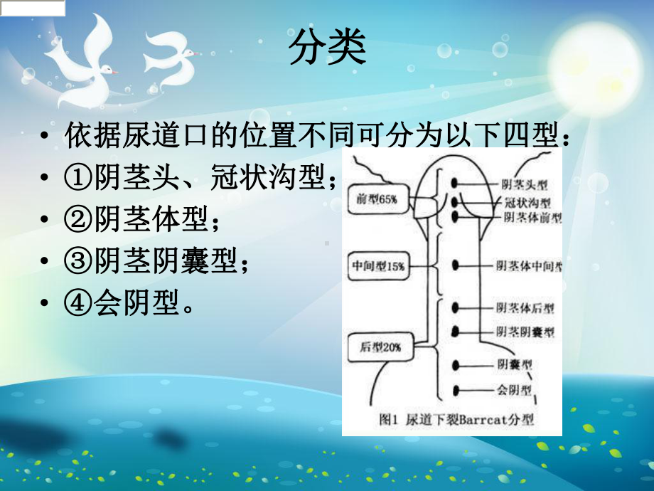 尿道下裂护理查房课件.ppt_第3页