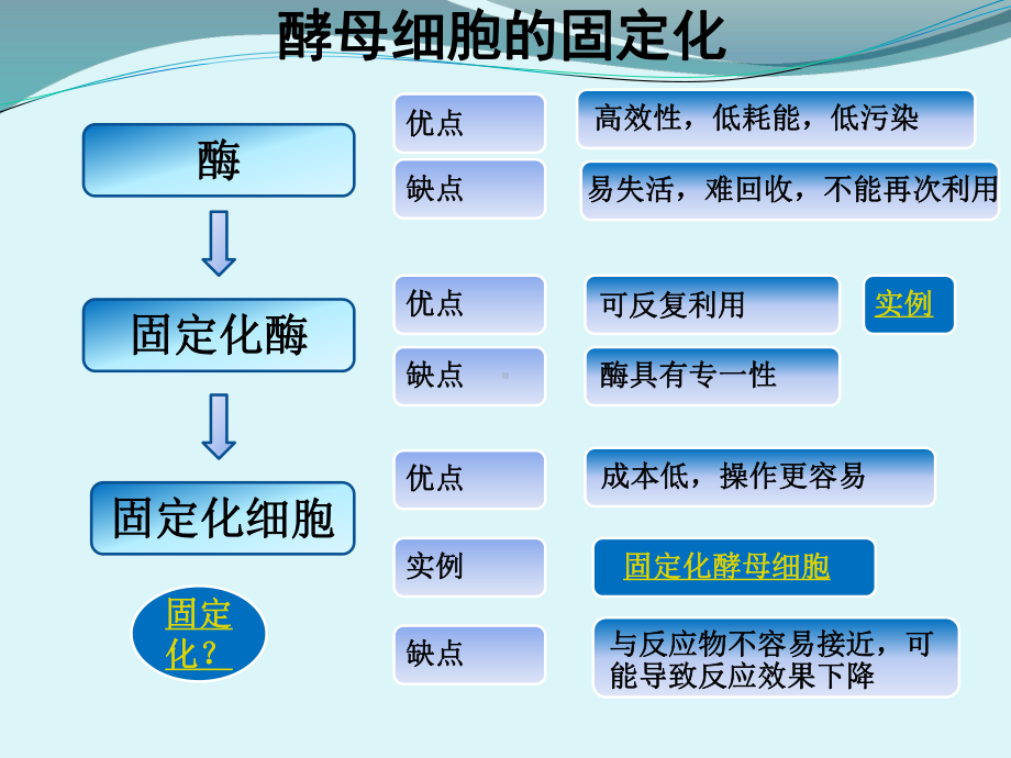 人教版高中生物选修一专题四课题3-酵母细胞的固定化-课件(共15张PPT).ppt_第2页