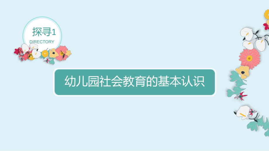 《幼儿园社会教育与活动指导》主题1幼儿园社会教育概述PPT课件.ppt_第3页