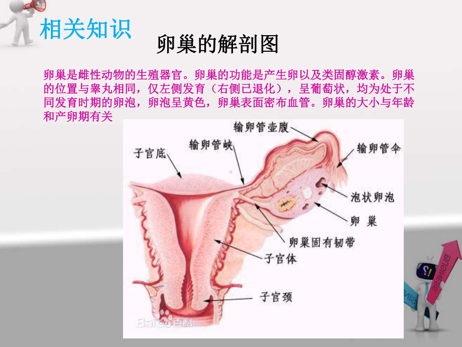 卵巢囊肿护理教学查房课件.ppt_第2页