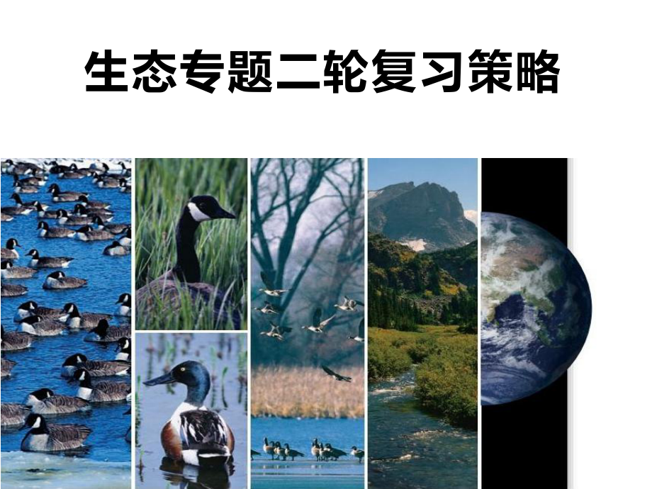 四川省2021届高三二轮复习生物：生态专题复习策略课件.pptx_第1页