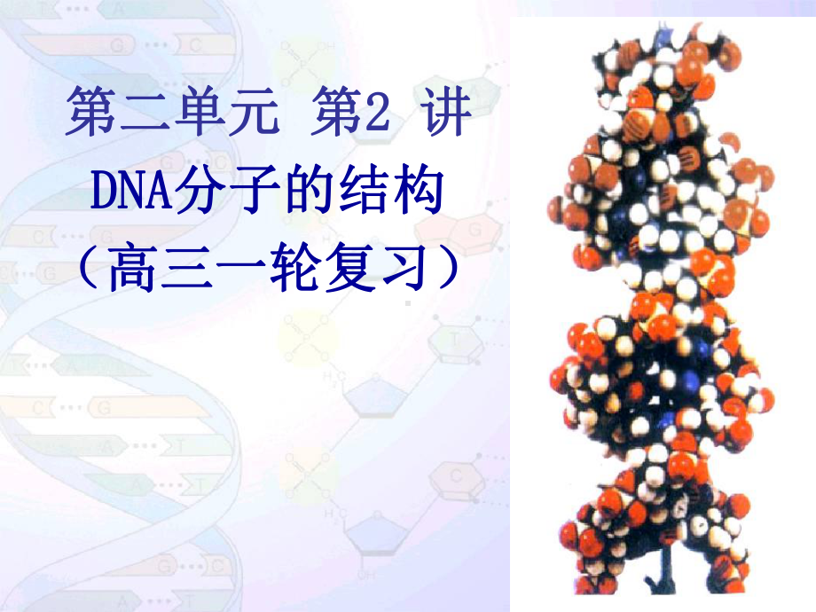 （-区公开课）《DNA分子的结构-高三一轮复习》教学课件.ppt_第1页