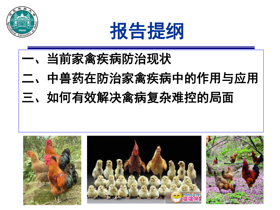 医学课件中兽药在家禽病毒病防治中的应用.ppt_第2页