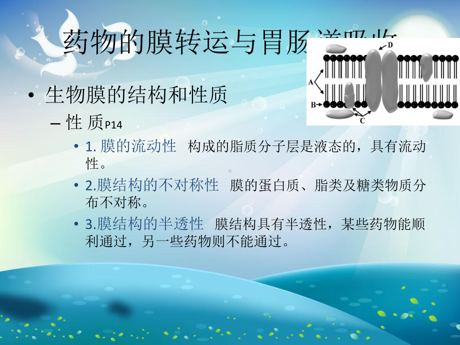 口服药物的吸收课件.ppt_第3页