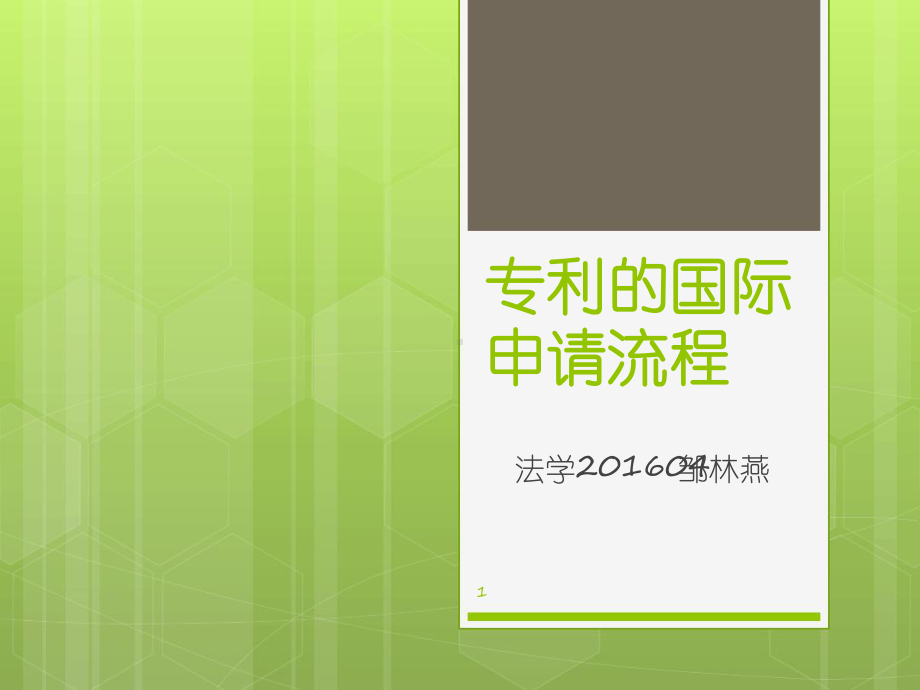 专利的国际申请课件.ppt_第1页