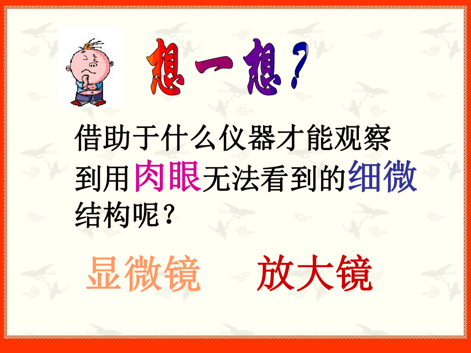 光学显微镜的使用PPT课件.ppt_第2页