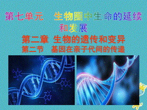 （人教版）最新年八年级生物下册：7.2.2《基因在亲子代间的传递》ppt教学课件.ppt.pptx