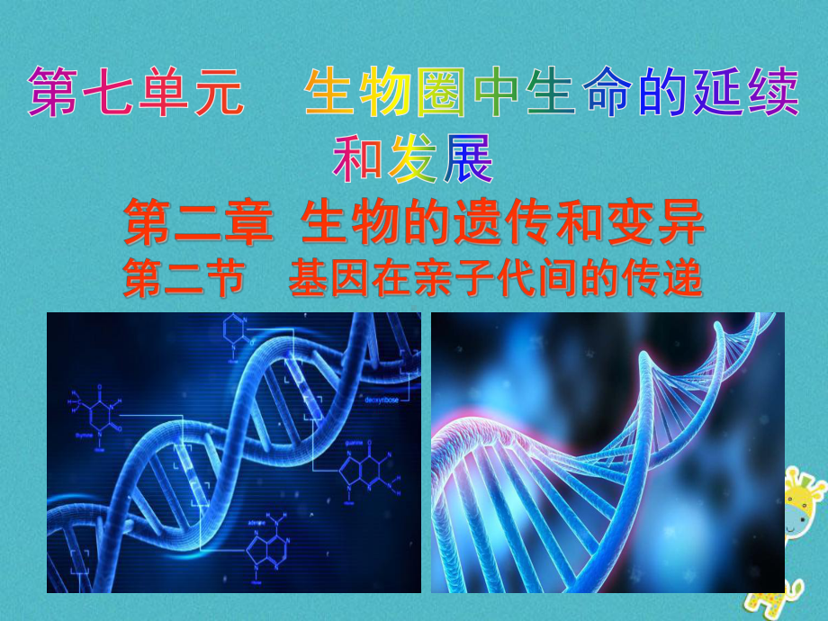 （人教版）最新年八年级生物下册：7.2.2《基因在亲子代间的传递》ppt教学课件.ppt.pptx_第1页