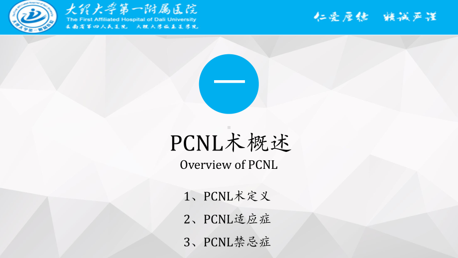 医学课件PCNL术围手术期护理.ppt_第2页