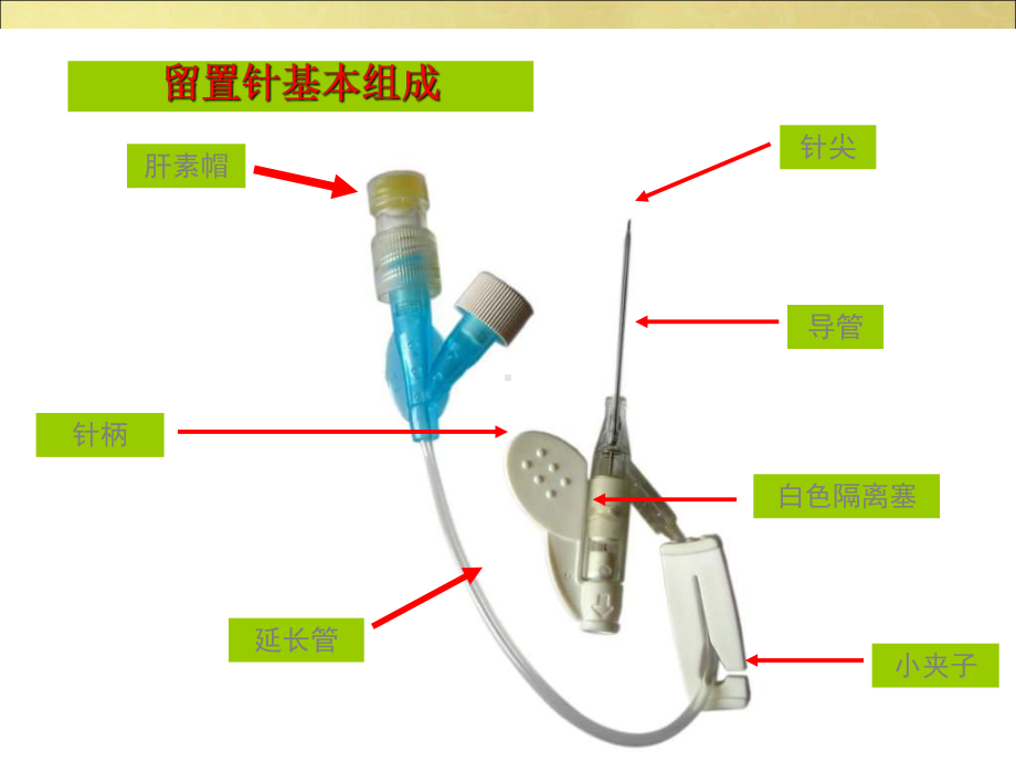 医学浅静脉留置针PPT培训课件.ppt_第3页