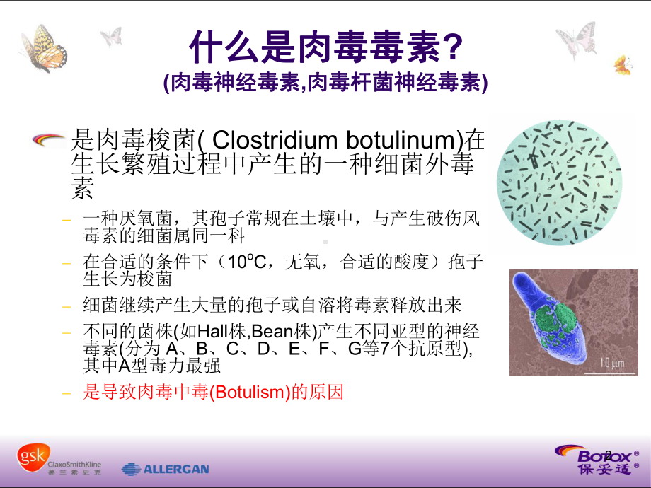 保妥适介绍课件.ppt_第2页