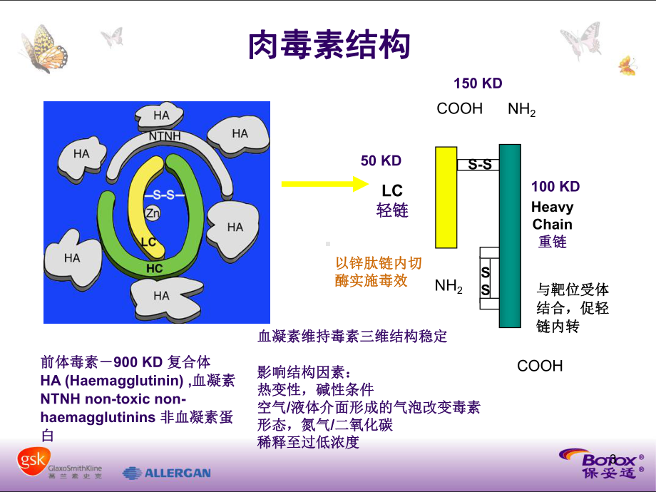 保妥适介绍课件.ppt_第3页