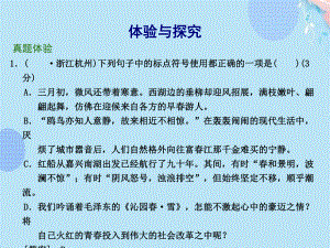 （精品）九年级中考专题复习：《标点符号》课件PPT资料.ppt