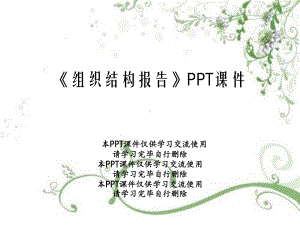 《组织结构报告》PPT课件.ppt