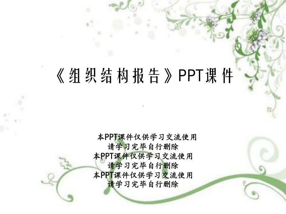 《组织结构报告》PPT课件.ppt_第1页