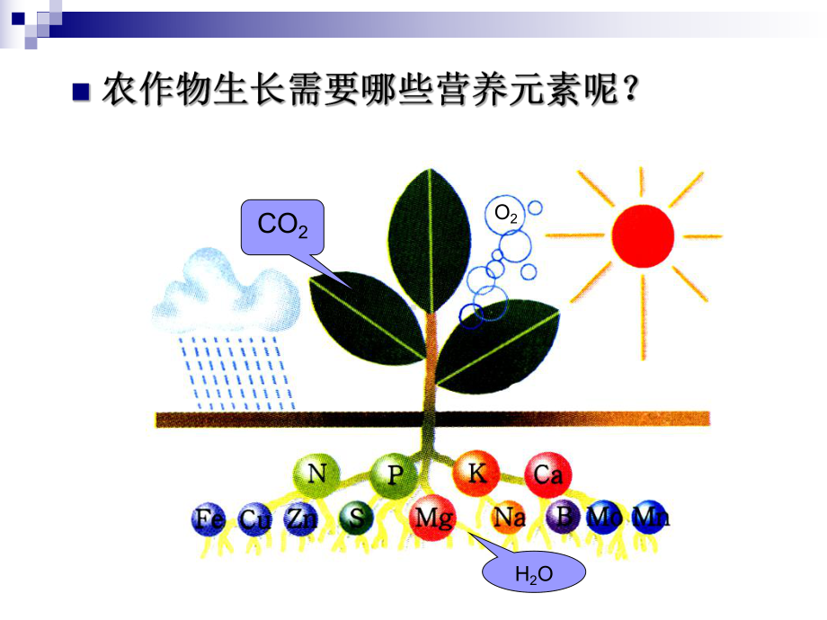 化学肥料优秀教案PPT课件.pptx_第3页