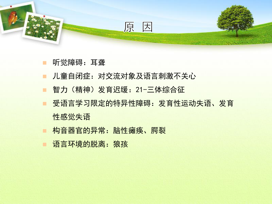 儿童语言发育迟缓课件.ppt_第3页