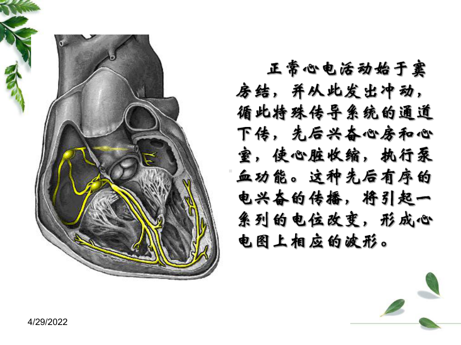 专科护士讲课心电图基础课件.ppt_第3页