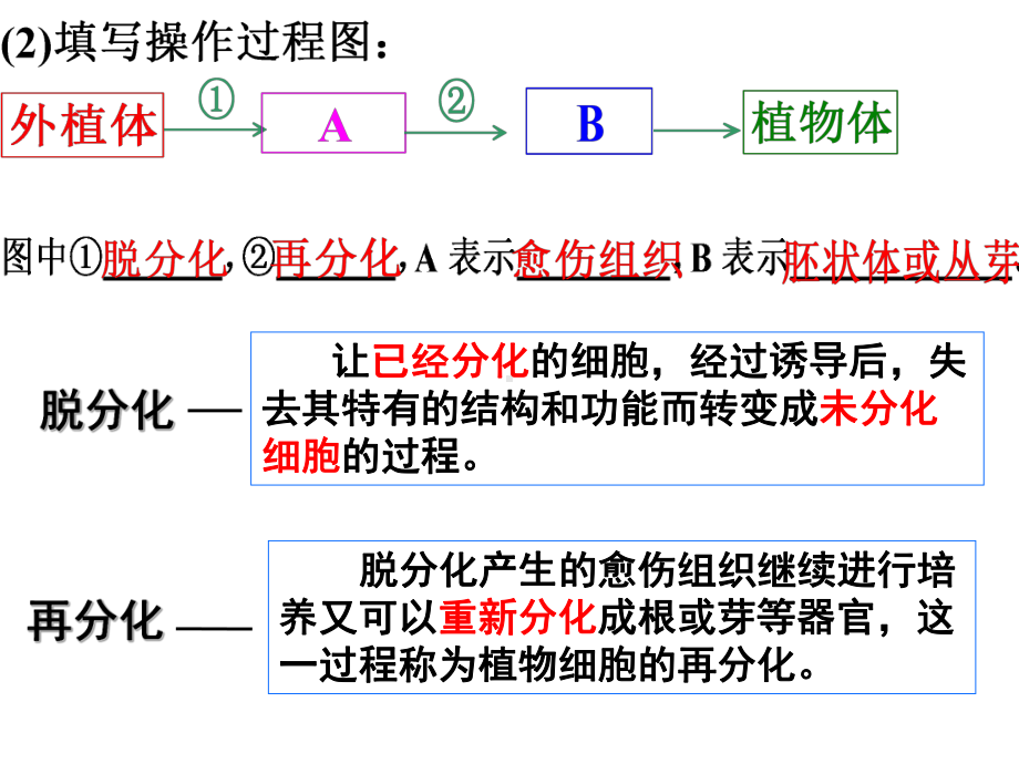 一轮复习细胞工程专题(课堂PPT)课件.ppt_第3页