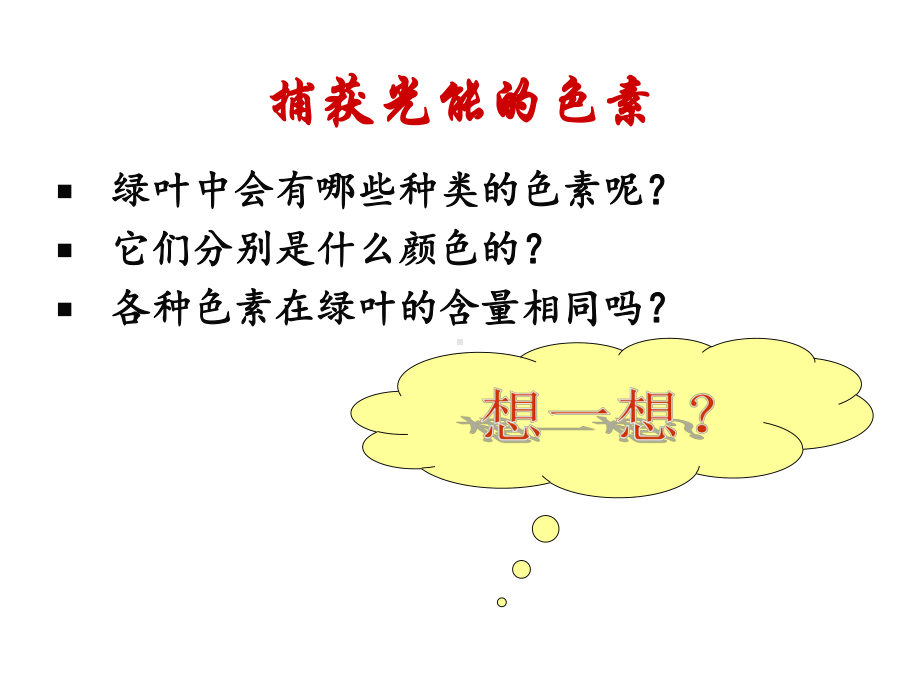 叶绿素的提取和分离实验资料课件.ppt_第2页