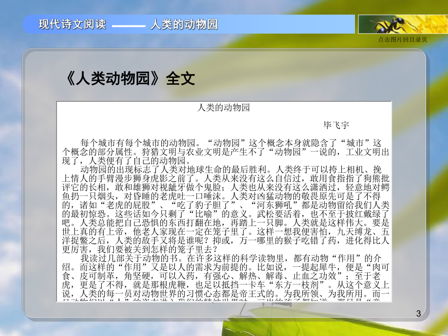 人类的动物园(课堂PPT)课件.ppt_第3页