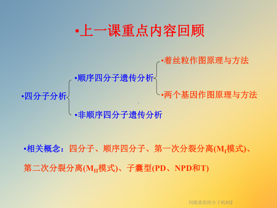 同源重组的分子机制2课件.ppt_第2页