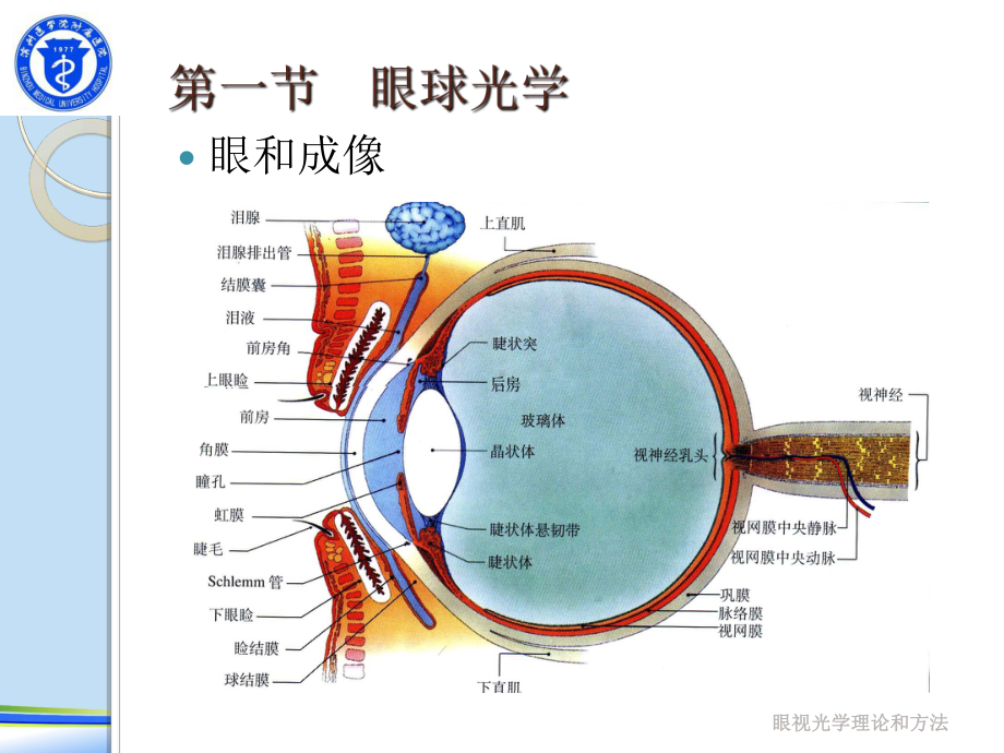 屈光和屈光不正.完整版PPT资料课件.ppt_第2页