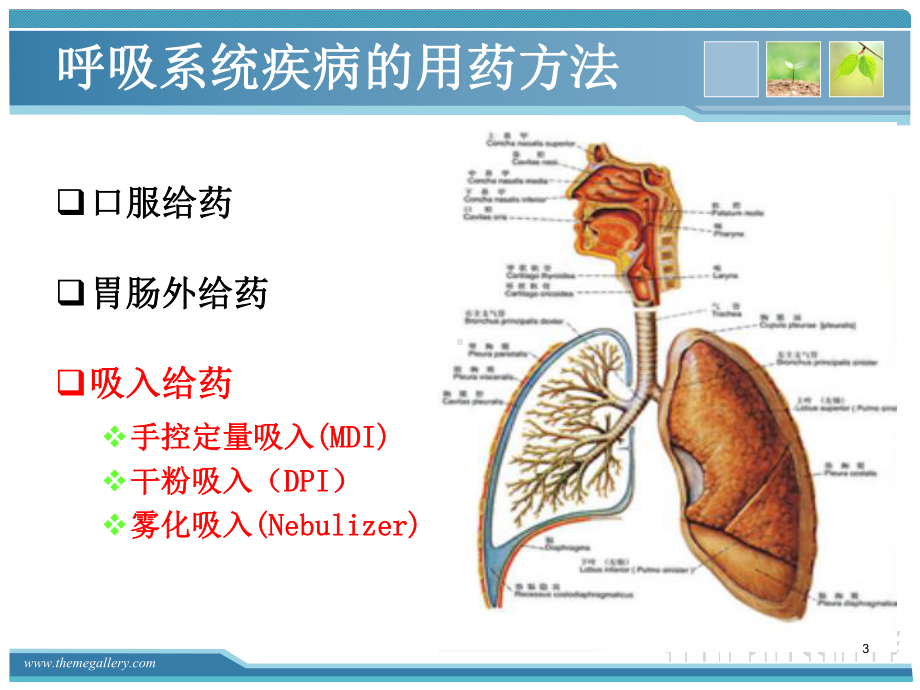 常用吸入药物的使用及注意事项PPT参考幻灯片课件.ppt_第3页