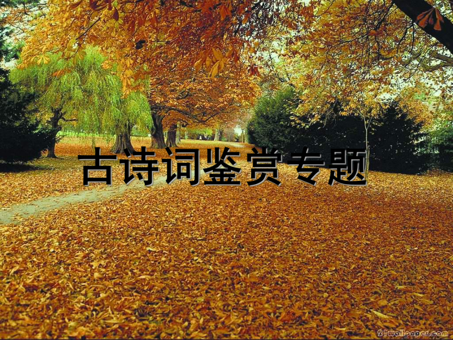 古诗词鉴赏专题ppt讲解学习课件.ppt_第1页