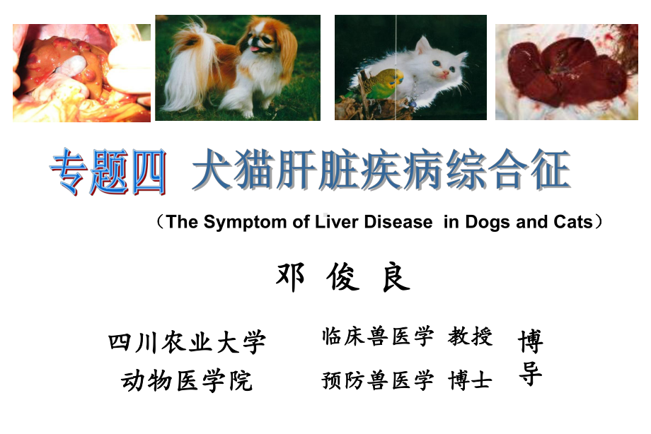 专题四、犬猫肝脏疾病综合征汇总课件.ppt_第1页